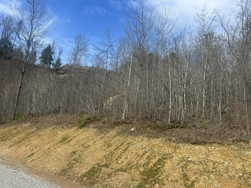 Lot 13 Sleepy Hollow Road East Bernstadt KY 40729