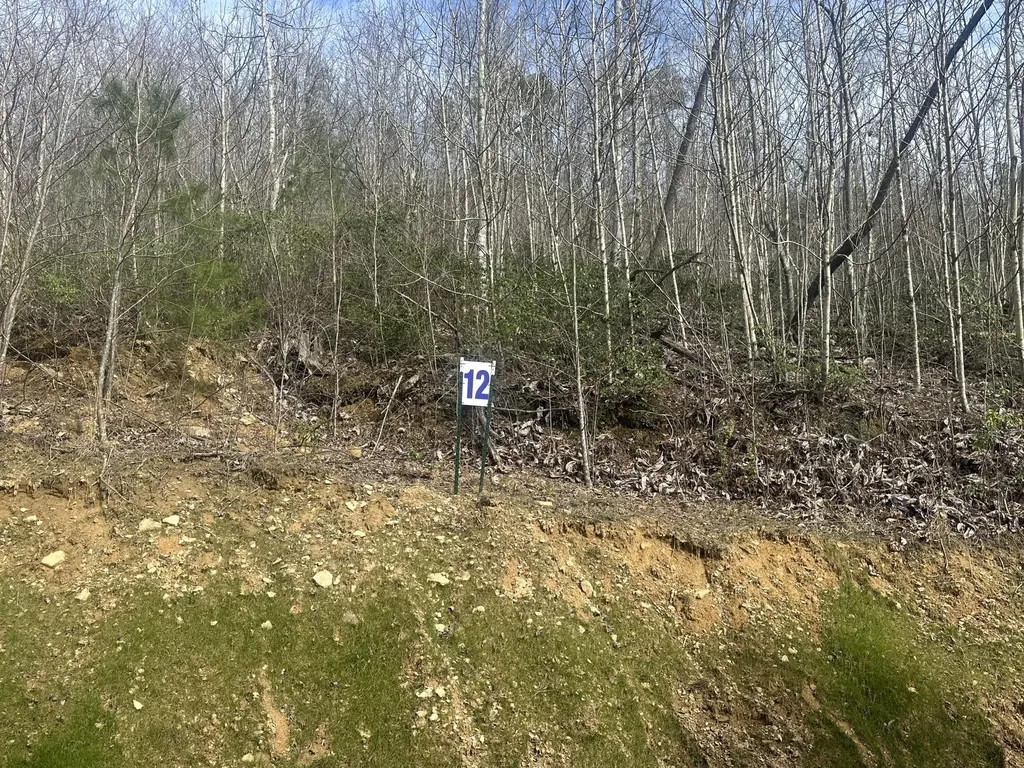 Lot 12 Sleepy Hollow Road East Bernstadt KY 40729