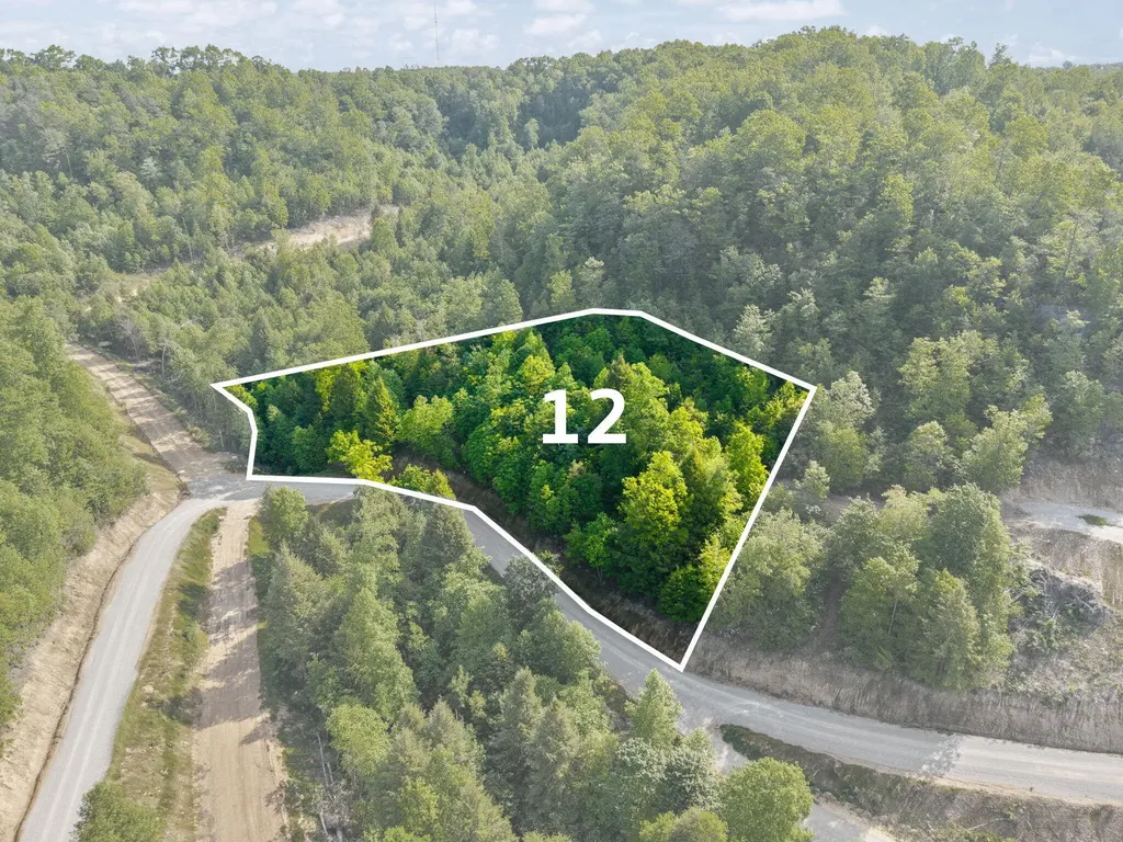 Lot 12 Sleepy Hollow Road East Bernstadt KY 40729