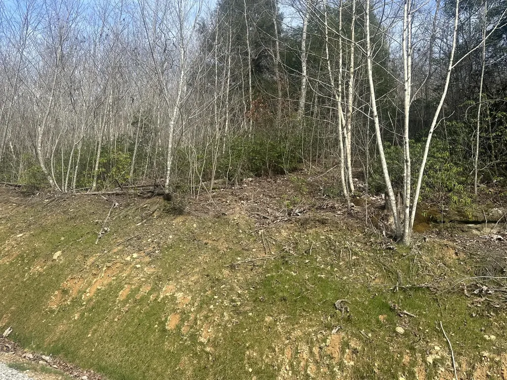Lot 12 Sleepy Hollow Road East Bernstadt KY 40729