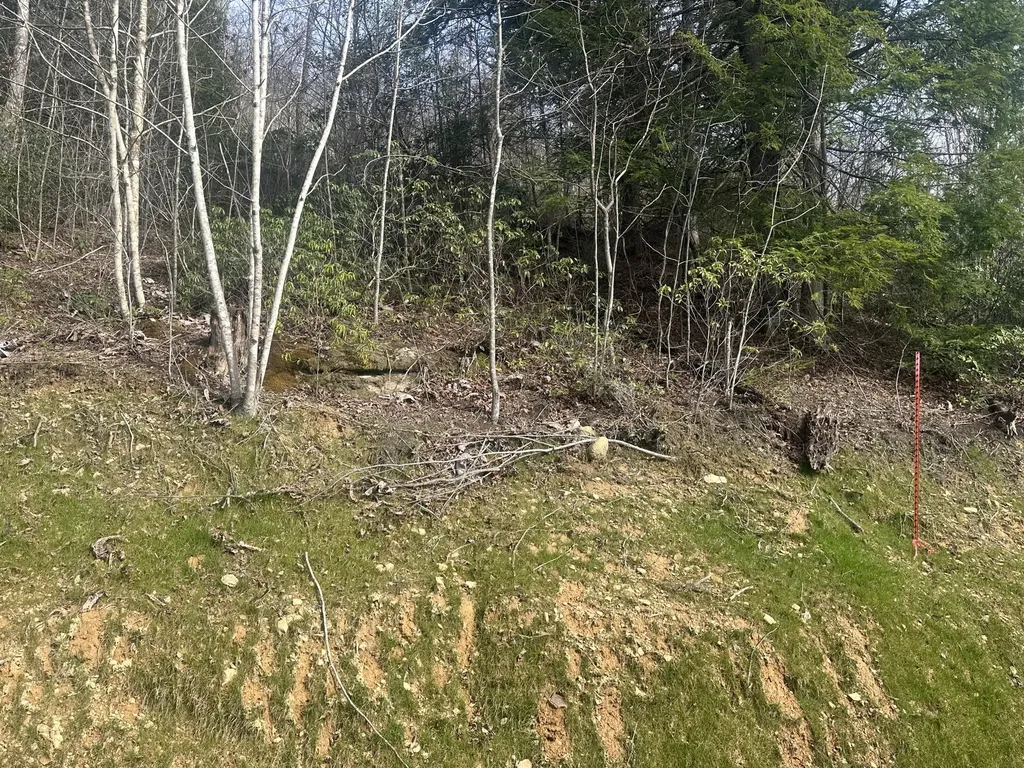 Lot 12 Sleepy Hollow Road East Bernstadt KY 40729