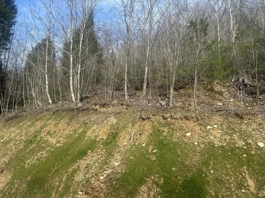 Lot 12 Sleepy Hollow Road East Bernstadt KY 40729