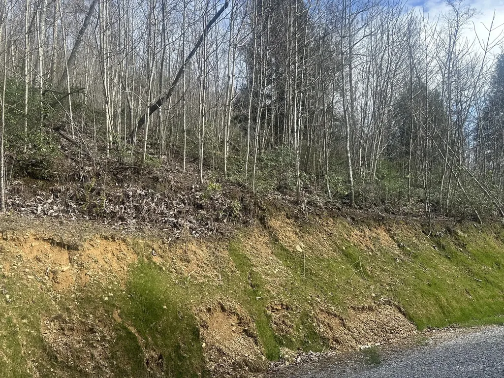 Lot 12 Sleepy Hollow Road East Bernstadt KY 40729