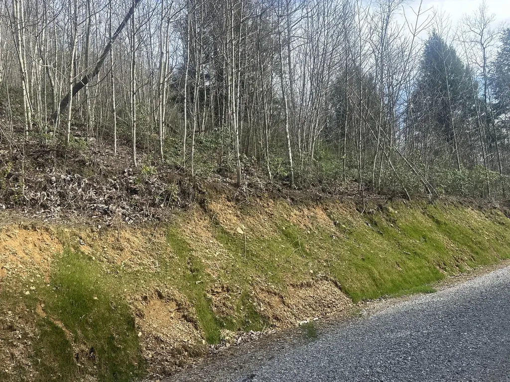 Lot 12 Sleepy Hollow Road East Bernstadt KY 40729