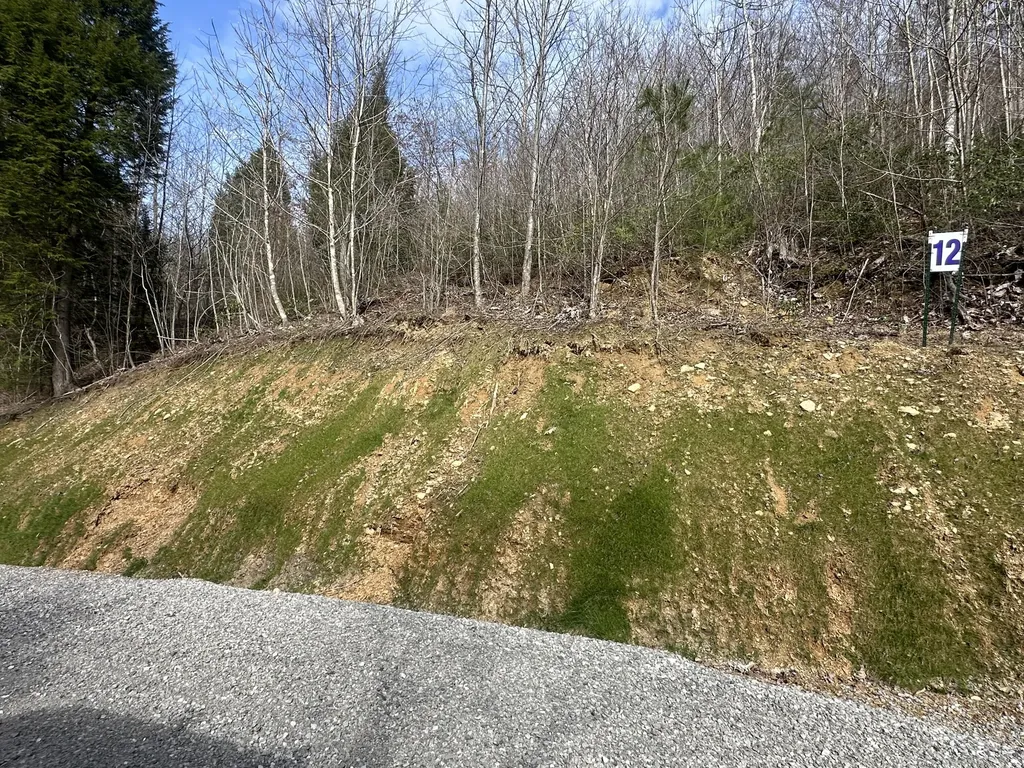 Lot 12 Sleepy Hollow Road East Bernstadt KY 40729