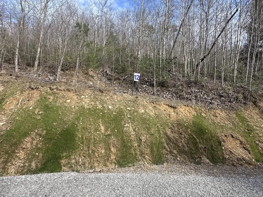 Lot 12 Sleepy Hollow Road East Bernstadt KY 40729