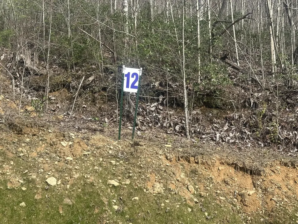 Lot 12 Sleepy Hollow Road East Bernstadt KY 40729