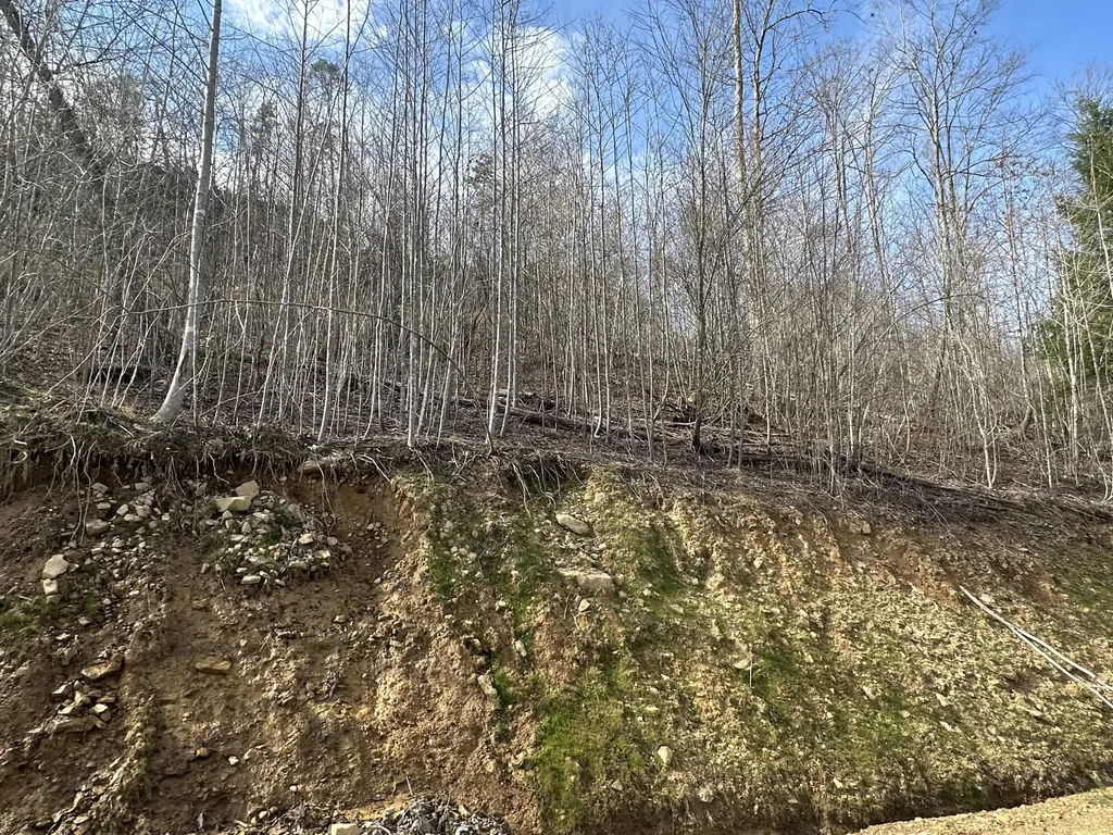 Lot 12 Sleepy Hollow Road East Bernstadt KY 40729