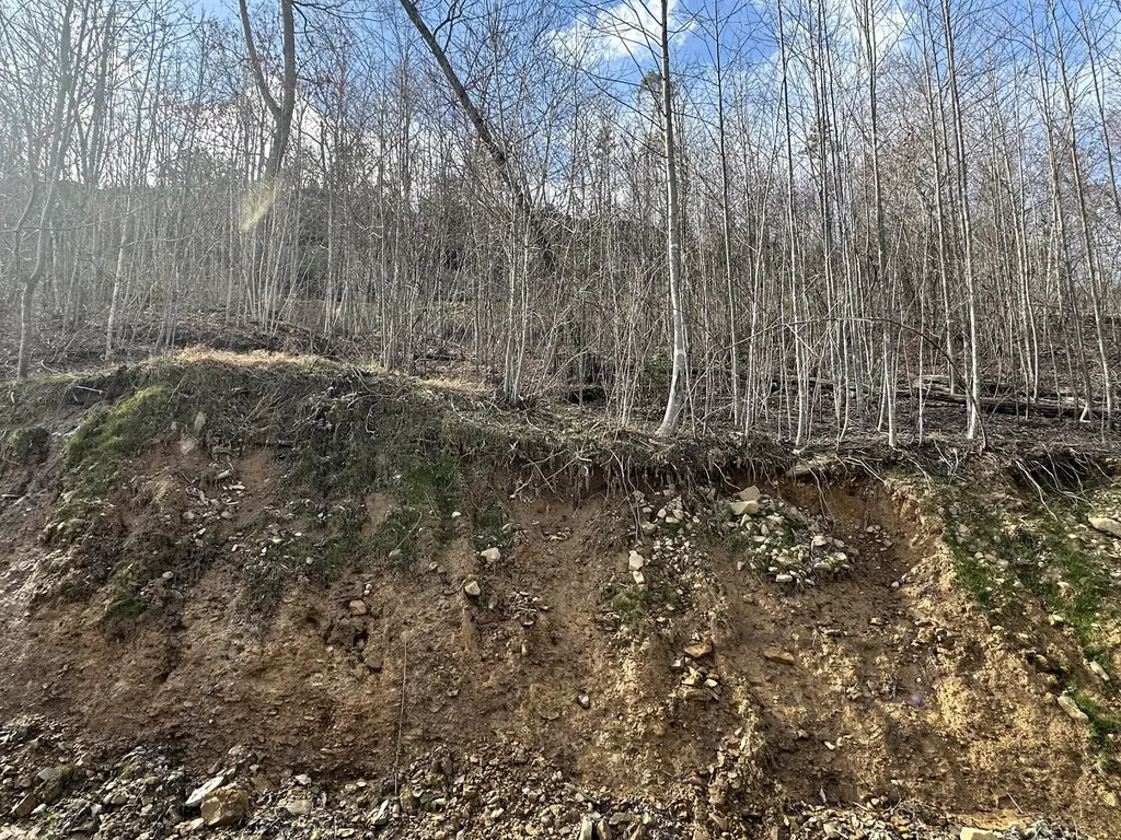 Lot 12 Sleepy Hollow Road East Bernstadt KY 40729