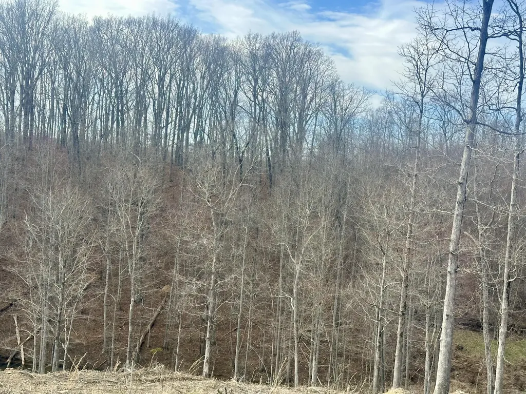 Lot 28 Sleepy Hollow Road East Bernstadt KY 40729
