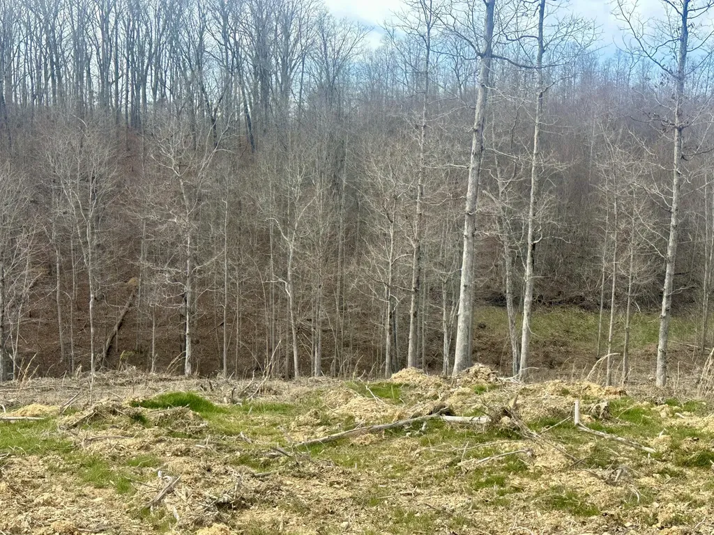 Lot 28 Sleepy Hollow Road East Bernstadt KY 40729