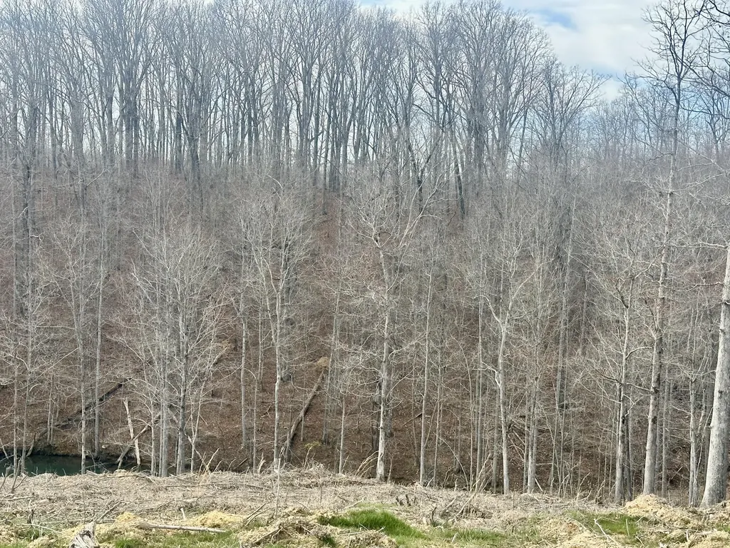 Lot 28 Sleepy Hollow Road East Bernstadt KY 40729