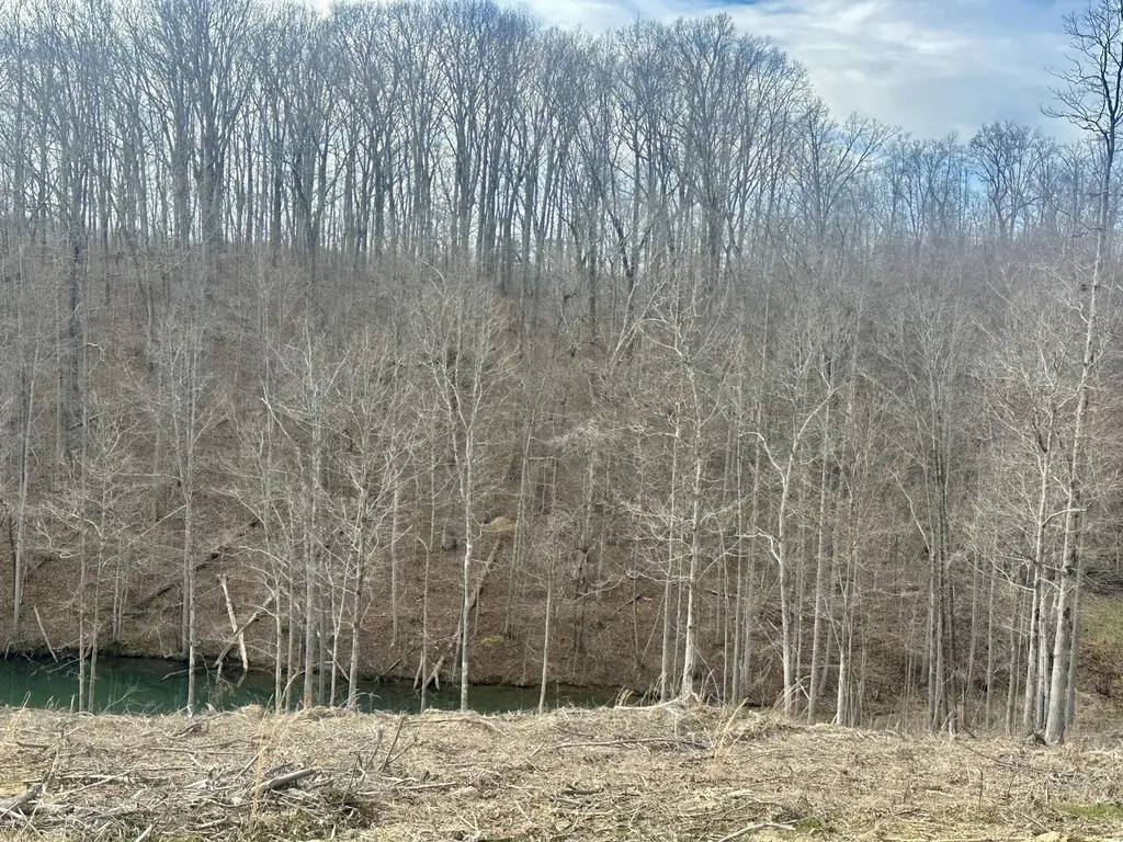 Lot 28 Sleepy Hollow Road East Bernstadt KY 40729