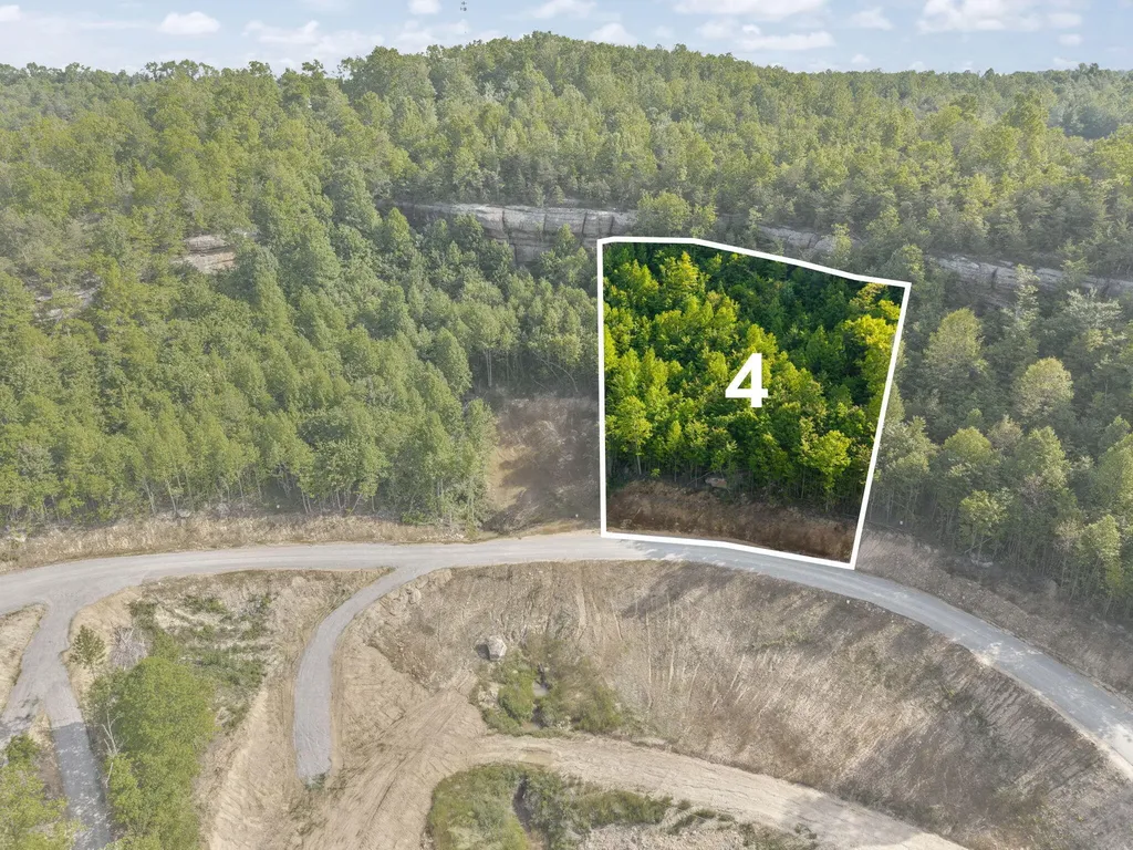 Lot 4 Sleepy Hollow Road East Bernstadt KY 40729