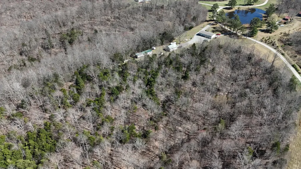 5488 Reese Hurt Road Breeding KY 42715