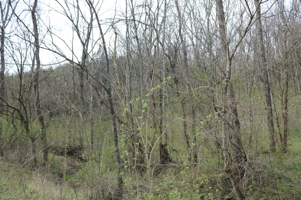 1475 Saltwell - Headquarters Road Carlisle KY 40311