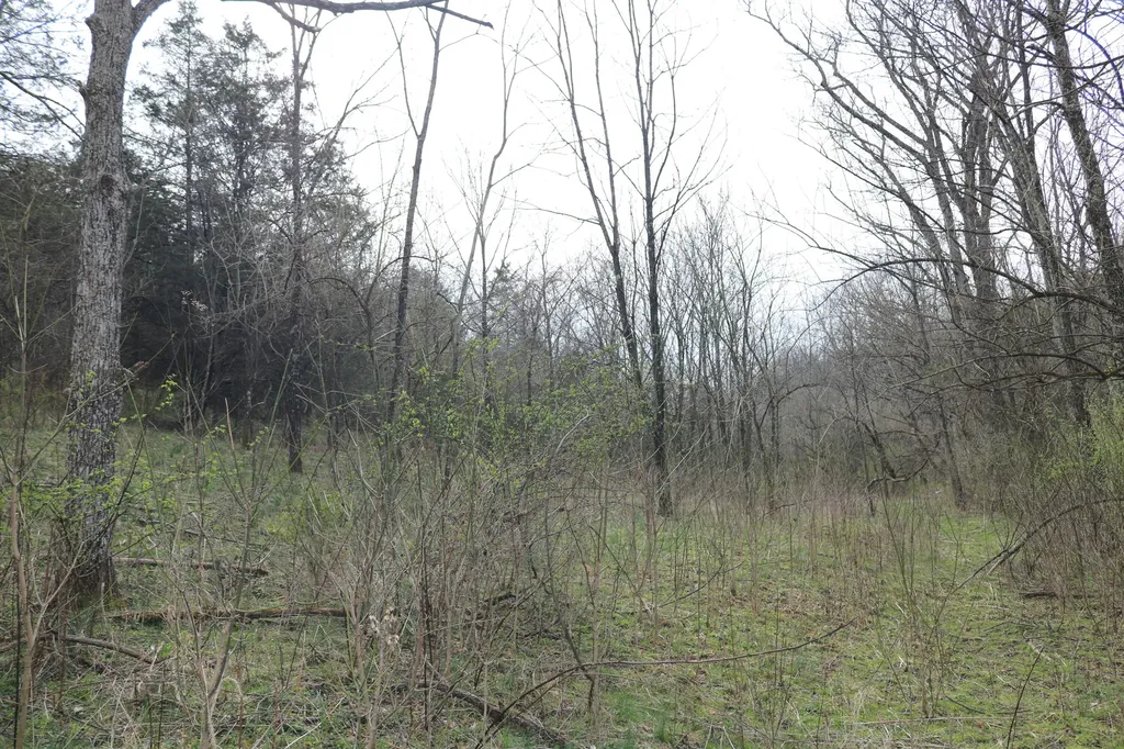 1475 Saltwell - Headquarters Road Carlisle KY 40311