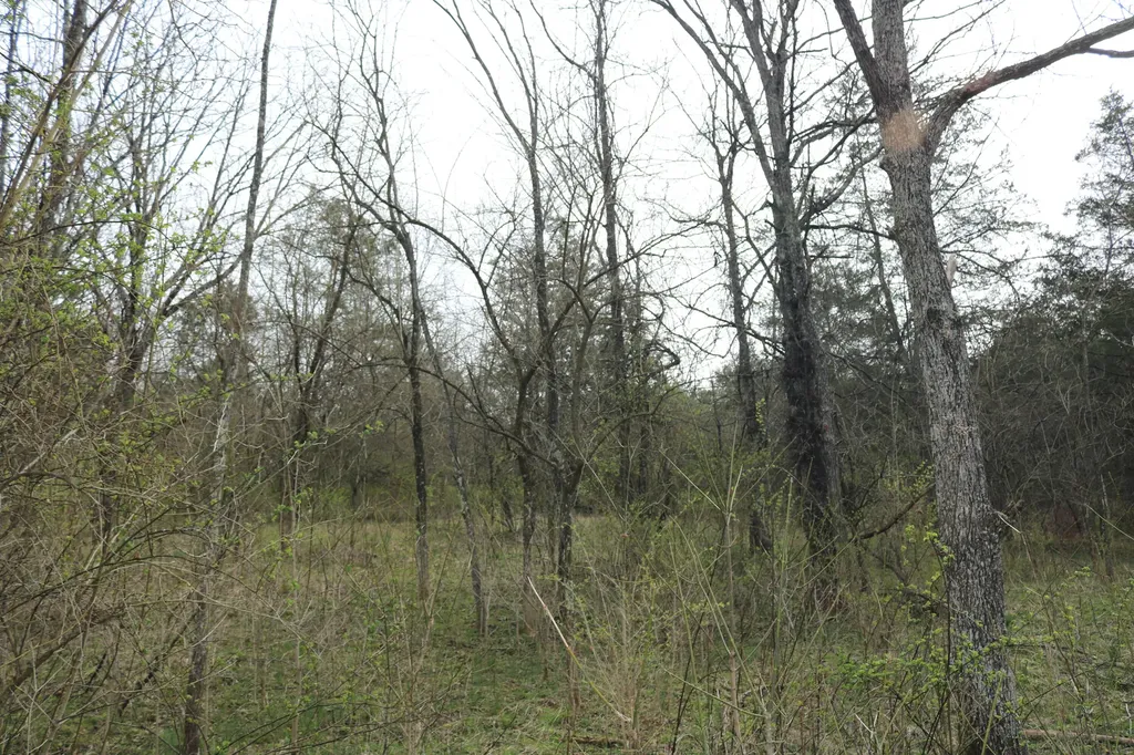 1475 Saltwell - Headquarters Road Carlisle KY 40311