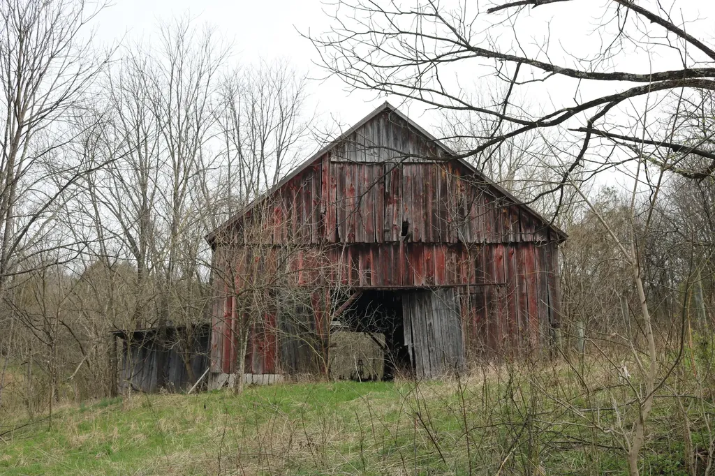 1475 Saltwell - Headquarters Road Carlisle KY 40311