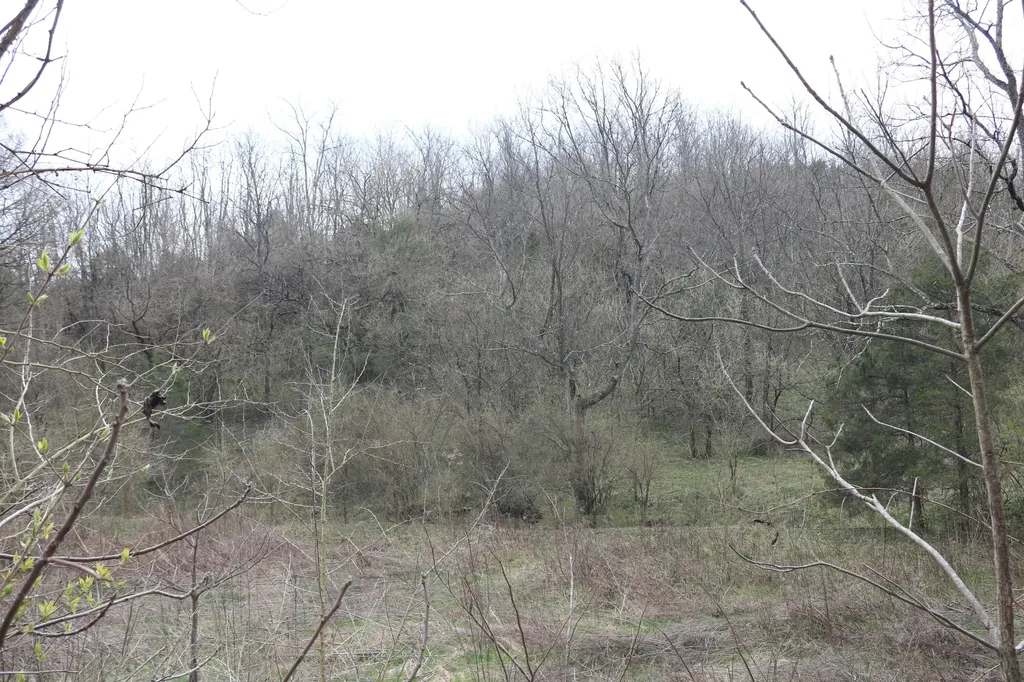 1475 Saltwell - Headquarters Road Carlisle KY 40311
