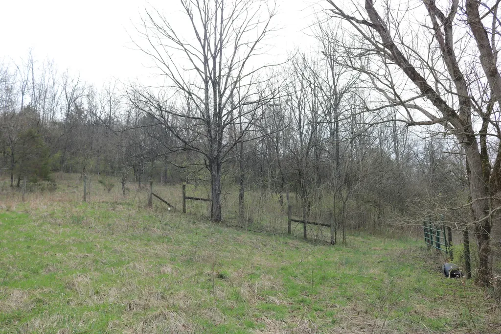 1475 Saltwell - Headquarters Road Carlisle KY 40311