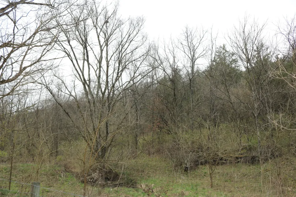 1475 Saltwell - Headquarters Road Carlisle KY 40311