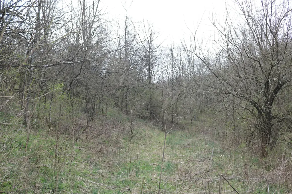1475 Saltwell - Headquarters Road Carlisle KY 40311