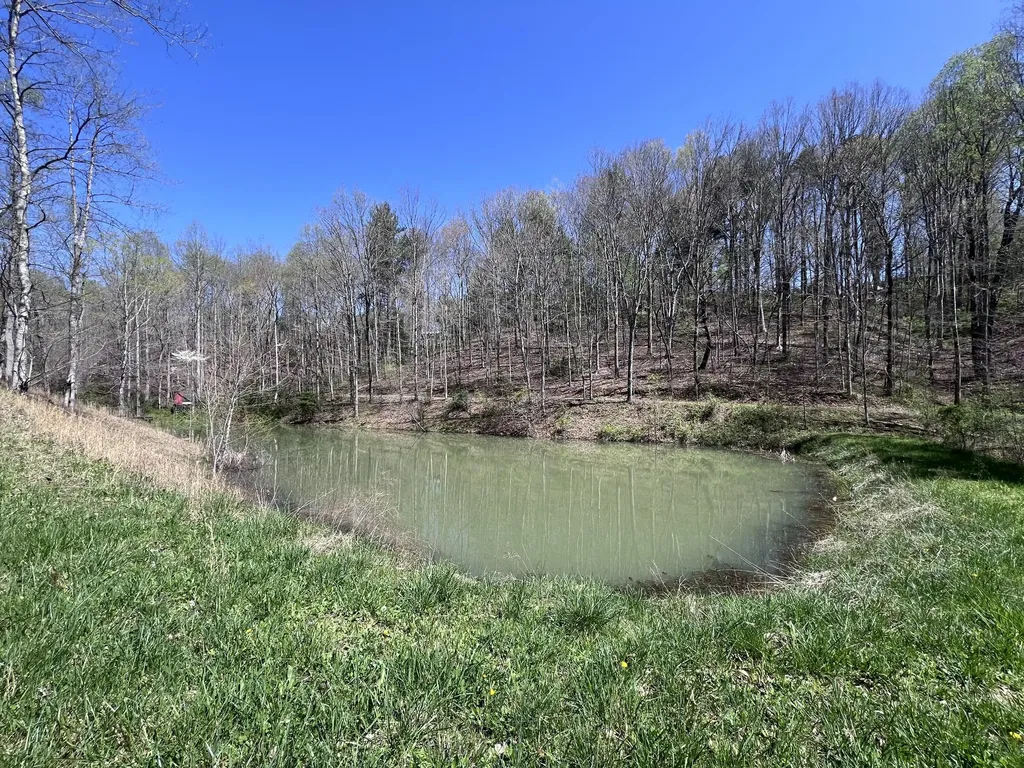 14 Clear Creek Road Pine Knot KY 42635