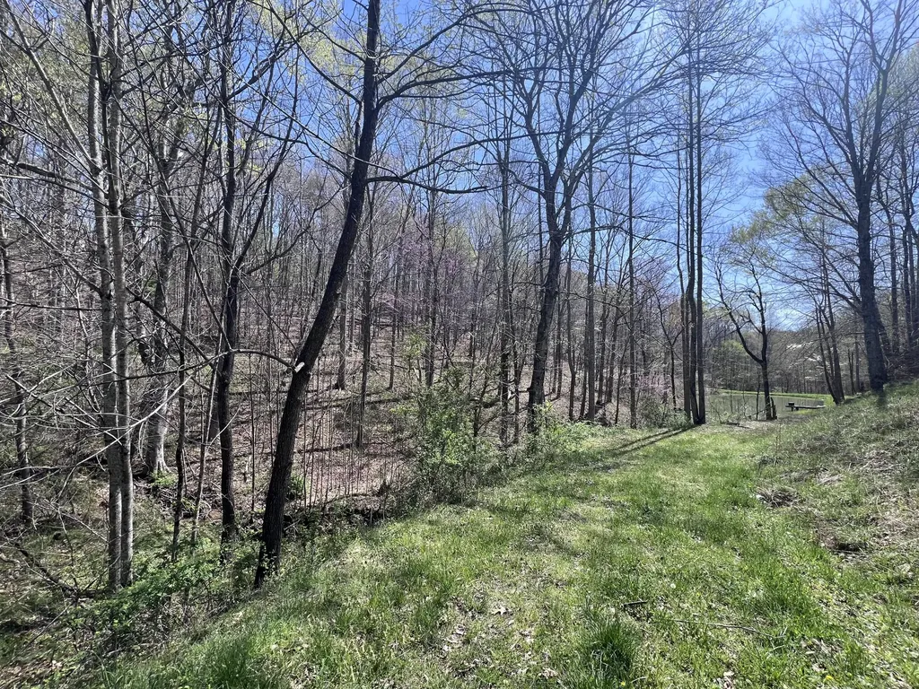 14 Clear Creek Road Pine Knot KY 42635