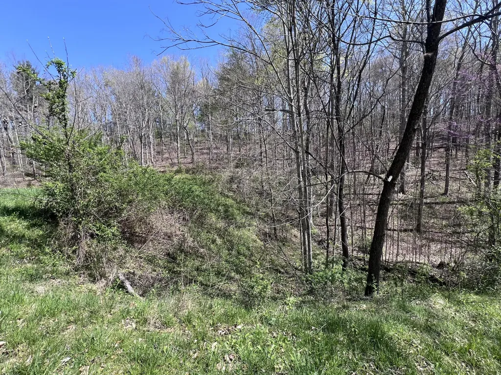 14 Clear Creek Road Pine Knot KY 42635