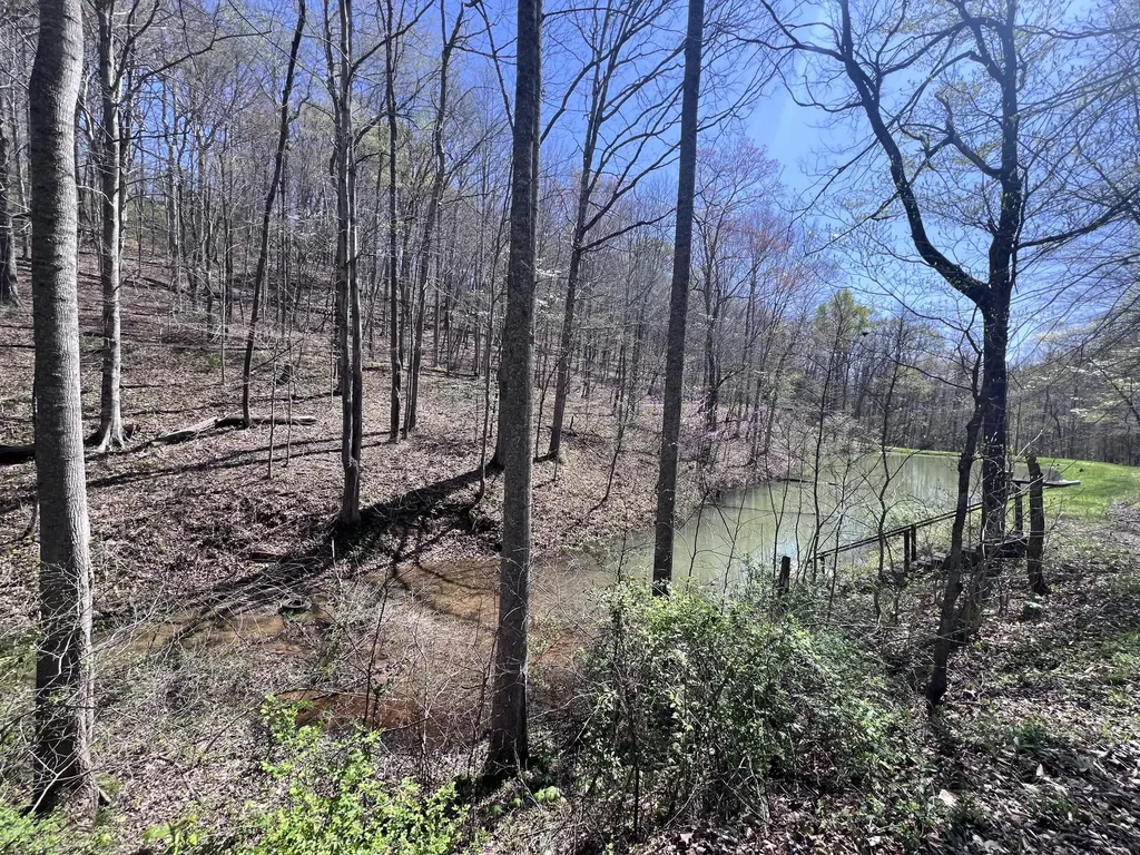 14 Clear Creek Road Pine Knot KY 42635