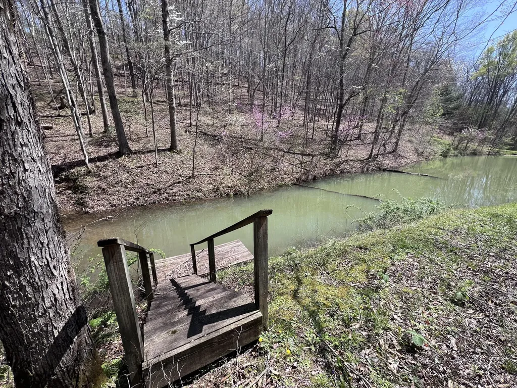 14 Clear Creek Road Pine Knot KY 42635