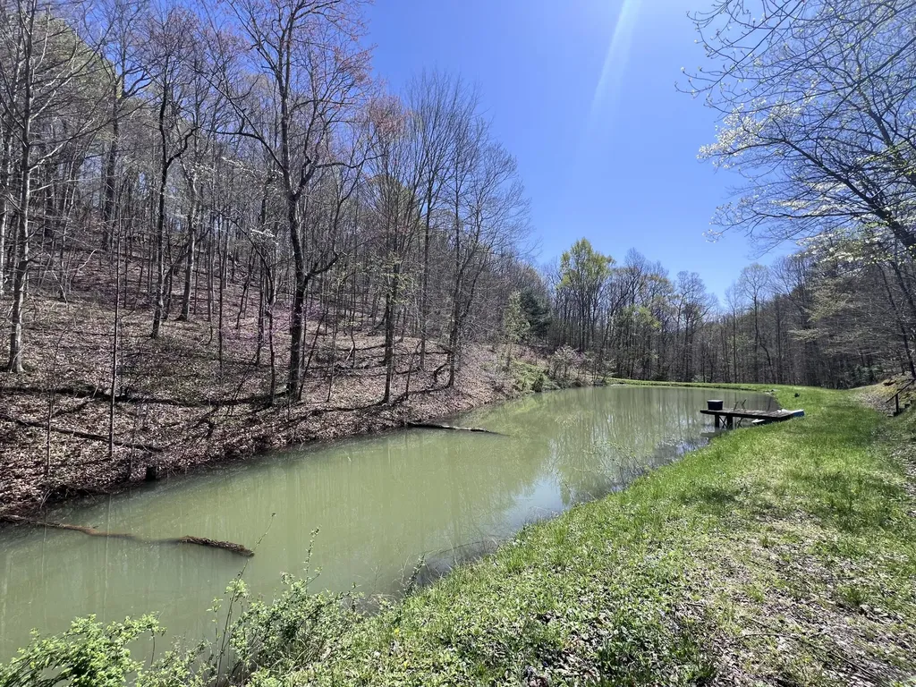 14 Clear Creek Road Pine Knot KY 42635