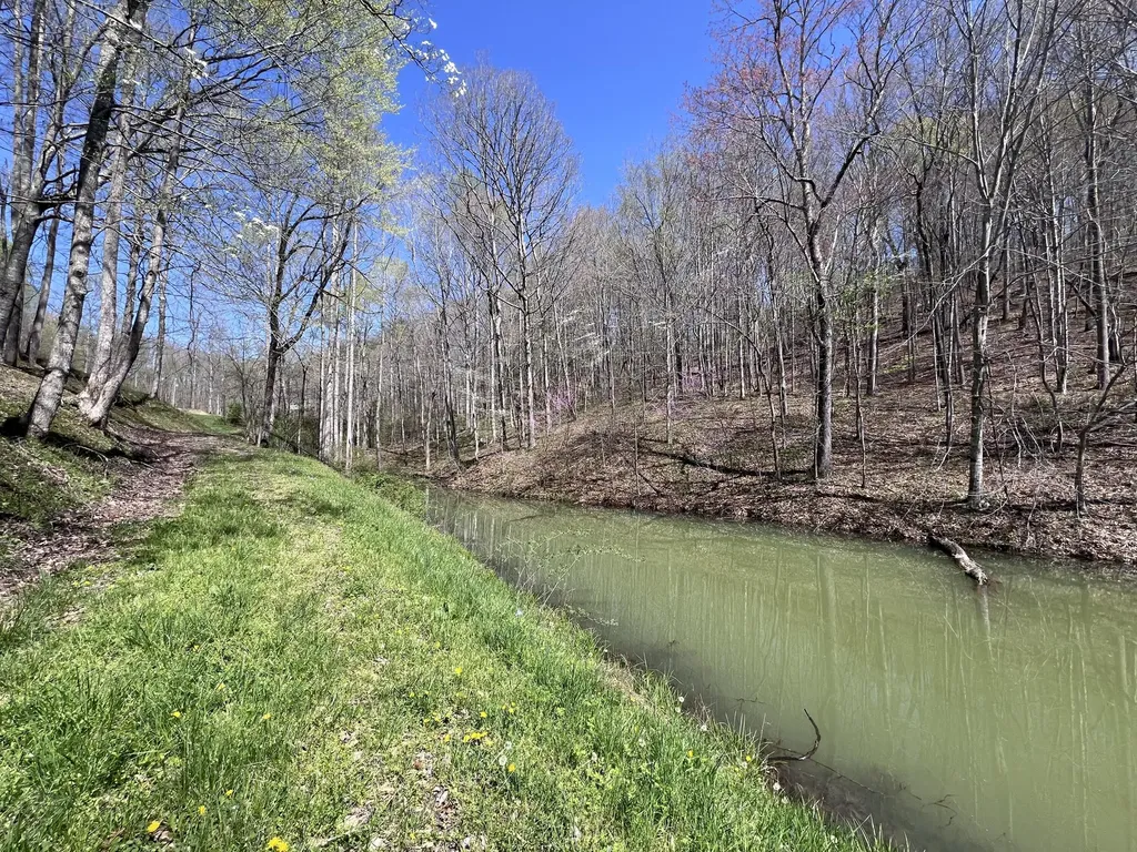 14 Clear Creek Road Pine Knot KY 42635