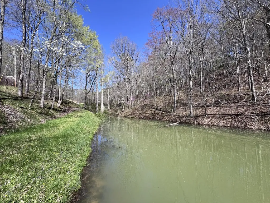 14 Clear Creek Road Pine Knot KY 42635