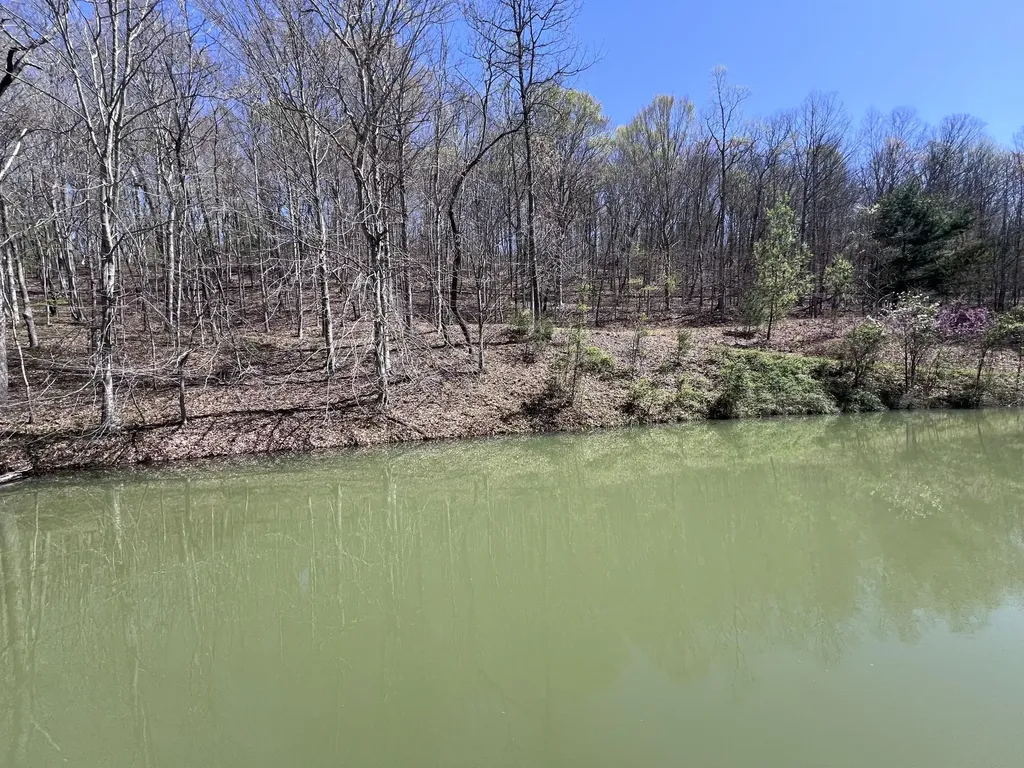 14 Clear Creek Road Pine Knot KY 42635