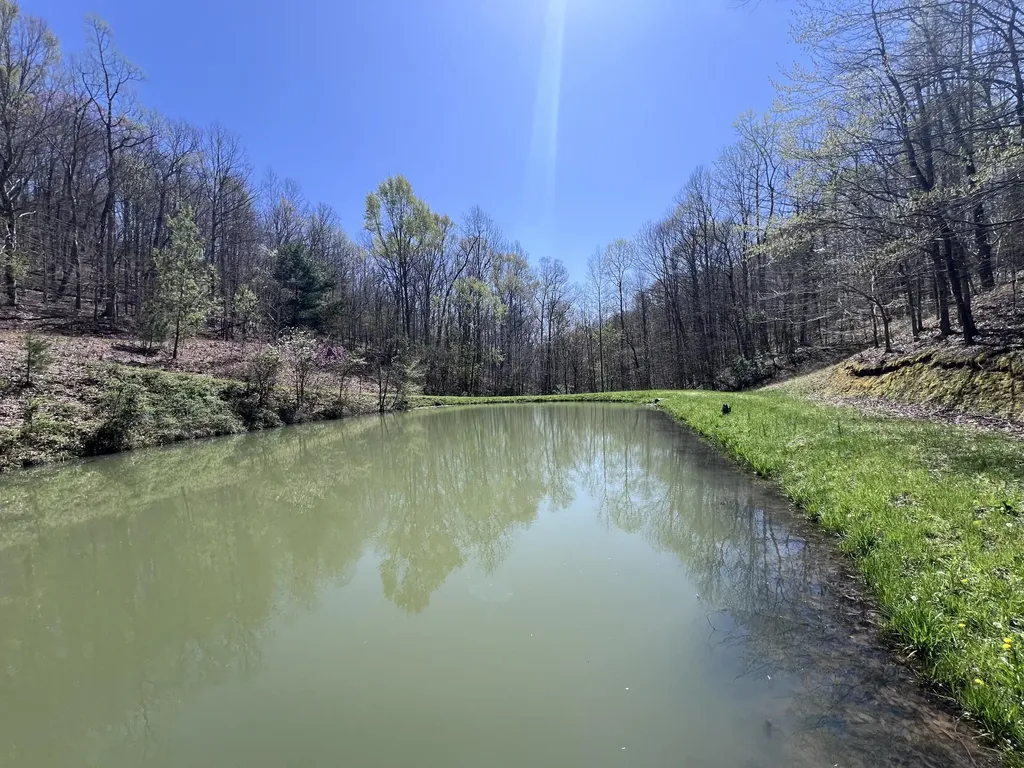 14 Clear Creek Road Pine Knot KY 42635