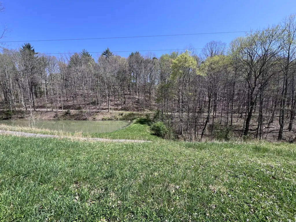 14 Clear Creek Road Pine Knot KY 42635