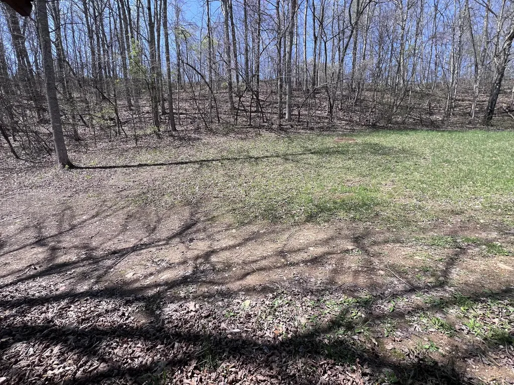 14 Clear Creek Road Pine Knot KY 42635