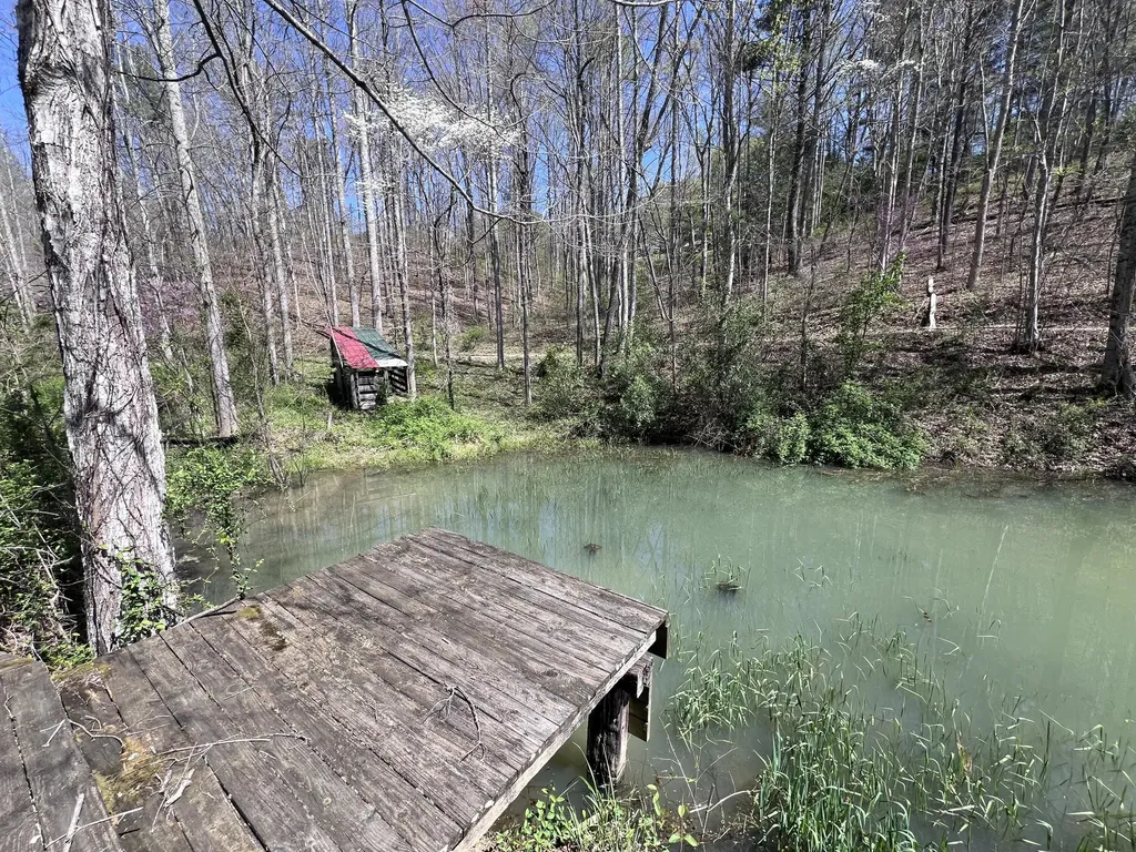 14 Clear Creek Road Pine Knot KY 42635