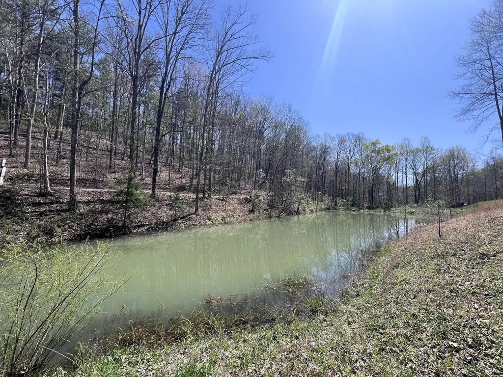 14 Clear Creek Road Pine Knot KY 42635