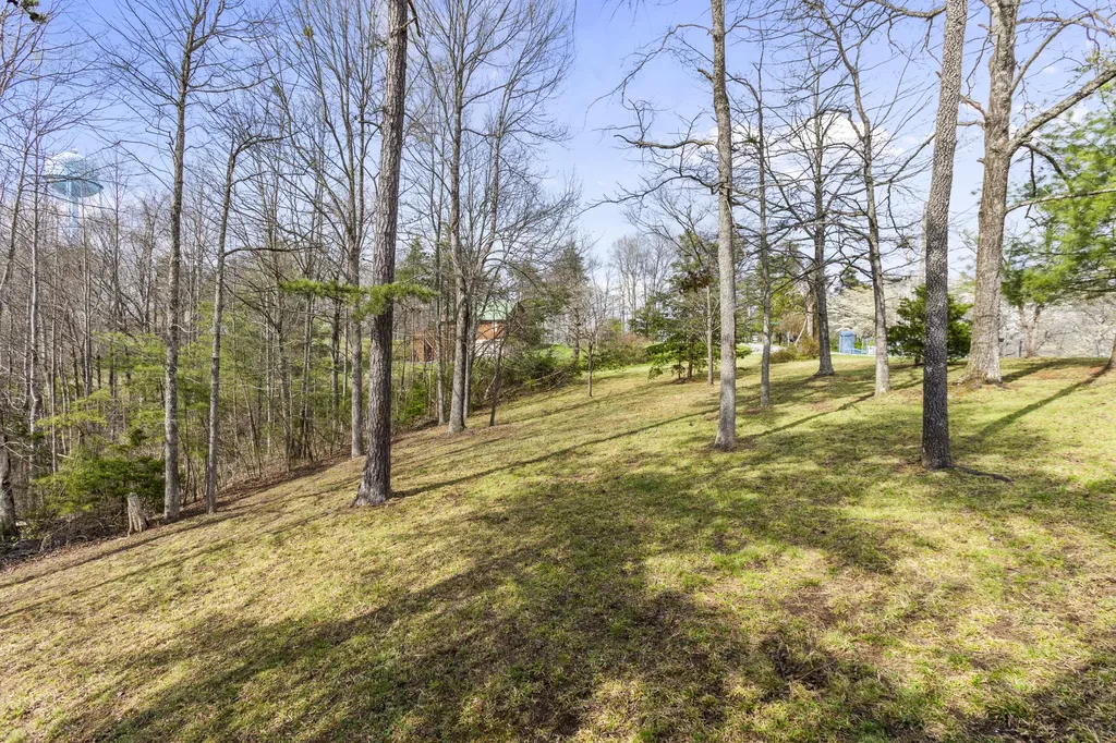 55 Dogwood Drive Wellington KY 40387