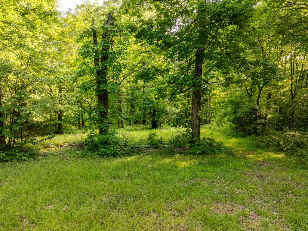 815 Jr Phipps Road Monticello KY 42633