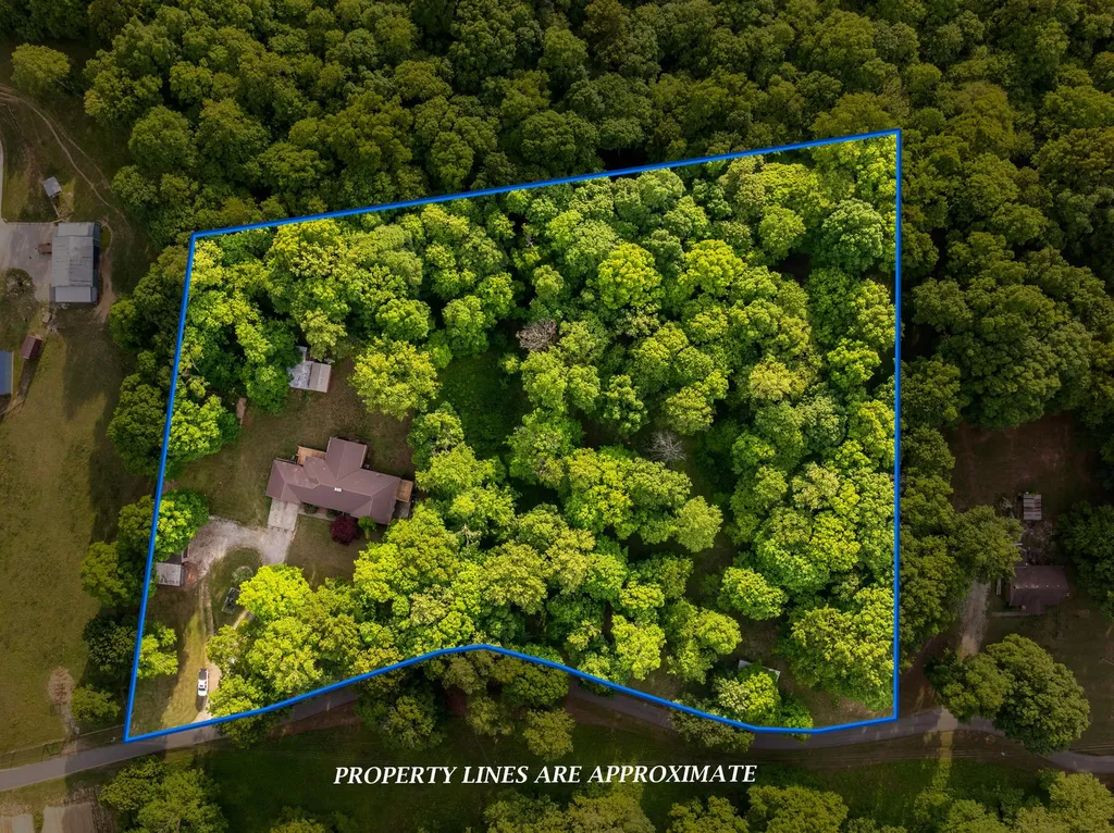 815 Jr Phipps Road Monticello KY 42633
