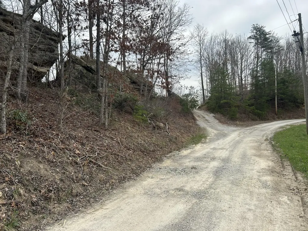 151 Walter Crabtree Road Pine Knot KY 42635
