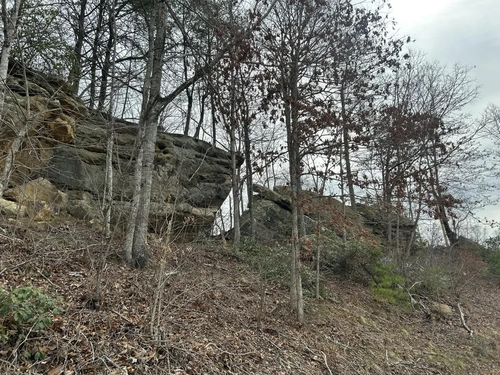 151 Walter Crabtree Road Pine Knot KY 42635