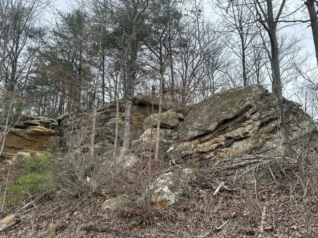 151 Walter Crabtree Road Pine Knot KY 42635