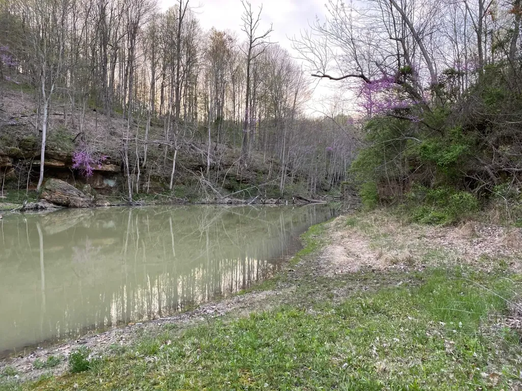 422 Kirk Lane Tollesboro KY 41189