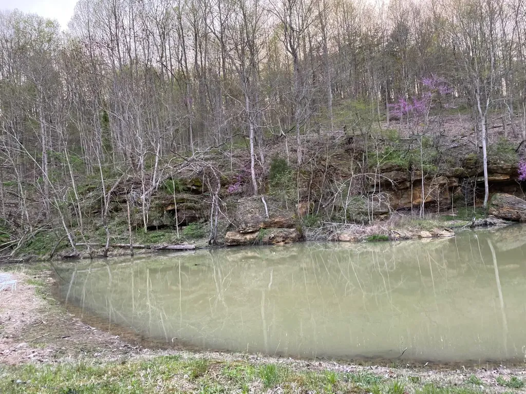 422 Kirk Lane Tollesboro KY 41189