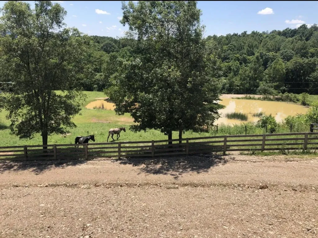 422 Kirk Lane Tollesboro KY 41189